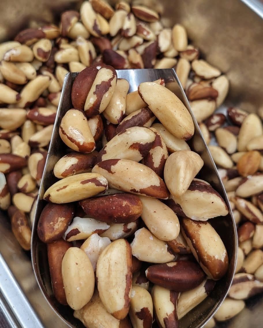 Brazilian Almonds (Brazil Nuts)